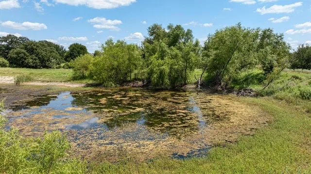 a view of a yard with trees in the background