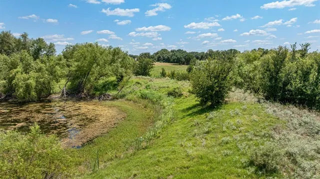 a view of a yard with a tree