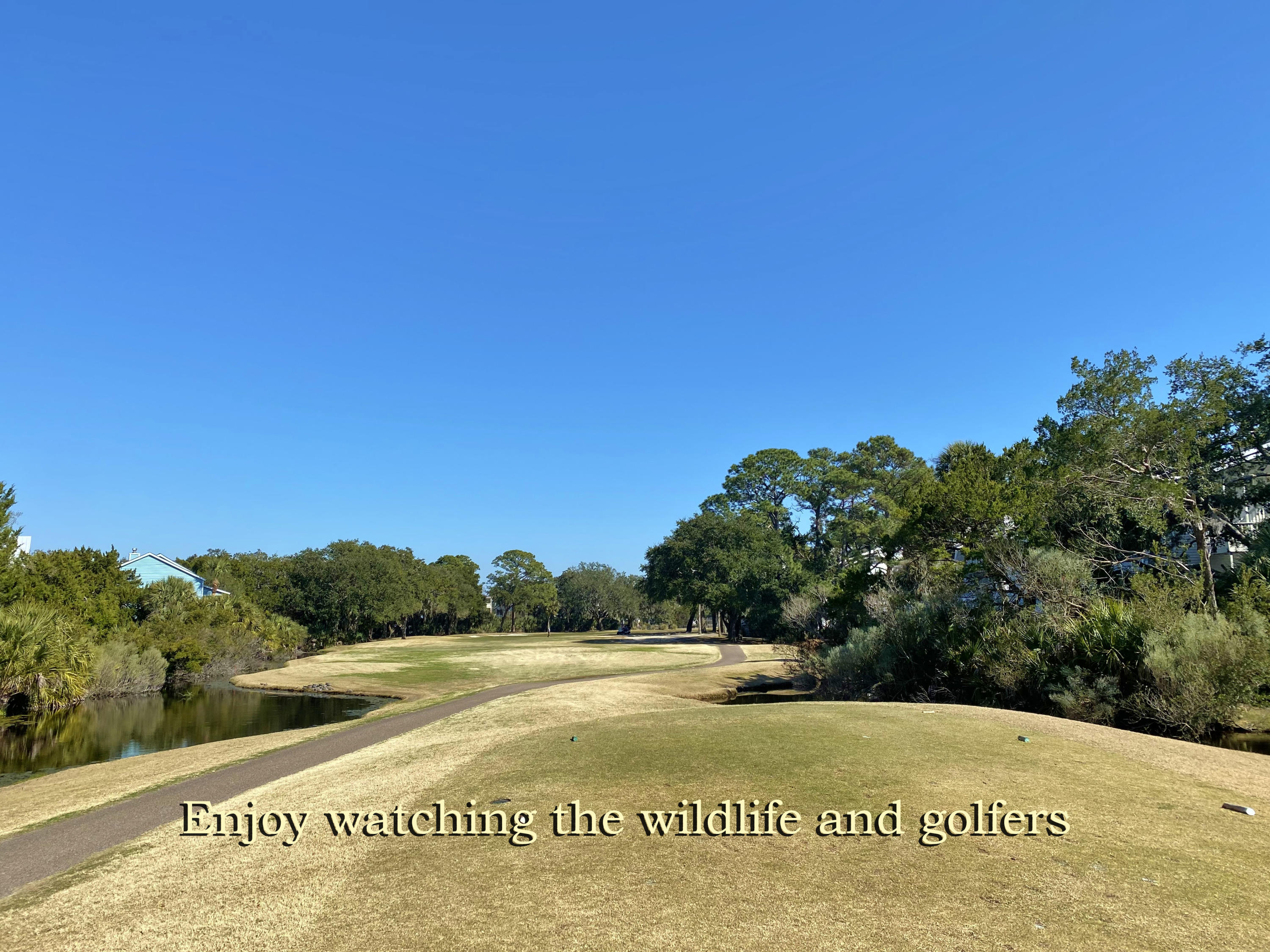 27 Battery Park Road Edisto Island, SC 29438 - Photo 6 of 24 6