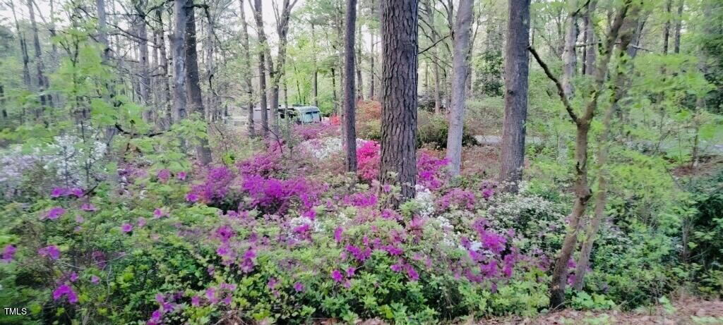 4809 Old Elizabeth Road Raleigh, NC 27616 - Photo 43 of 60 imagejpeg_0 6