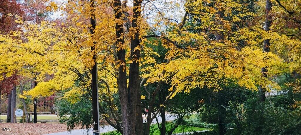 4809 Old Elizabeth Road Raleigh, NC 27616 - Photo 51 of 60 imagejpeg_0 3