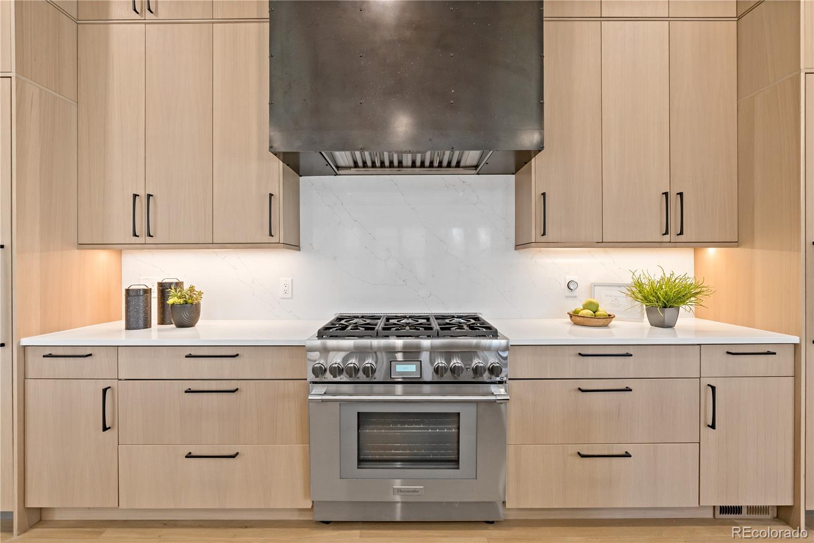 1828 South Williams Street Denver, CO 80210 - Photo 24 of 48