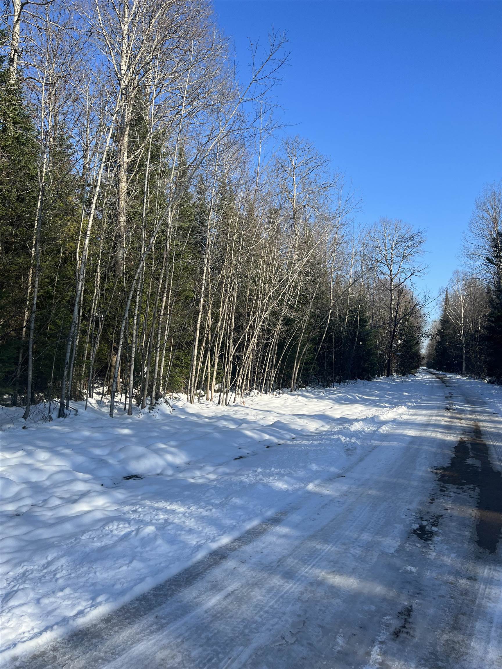 Irvin Road Kingsley, MI 49649 - Photo 3 of 14