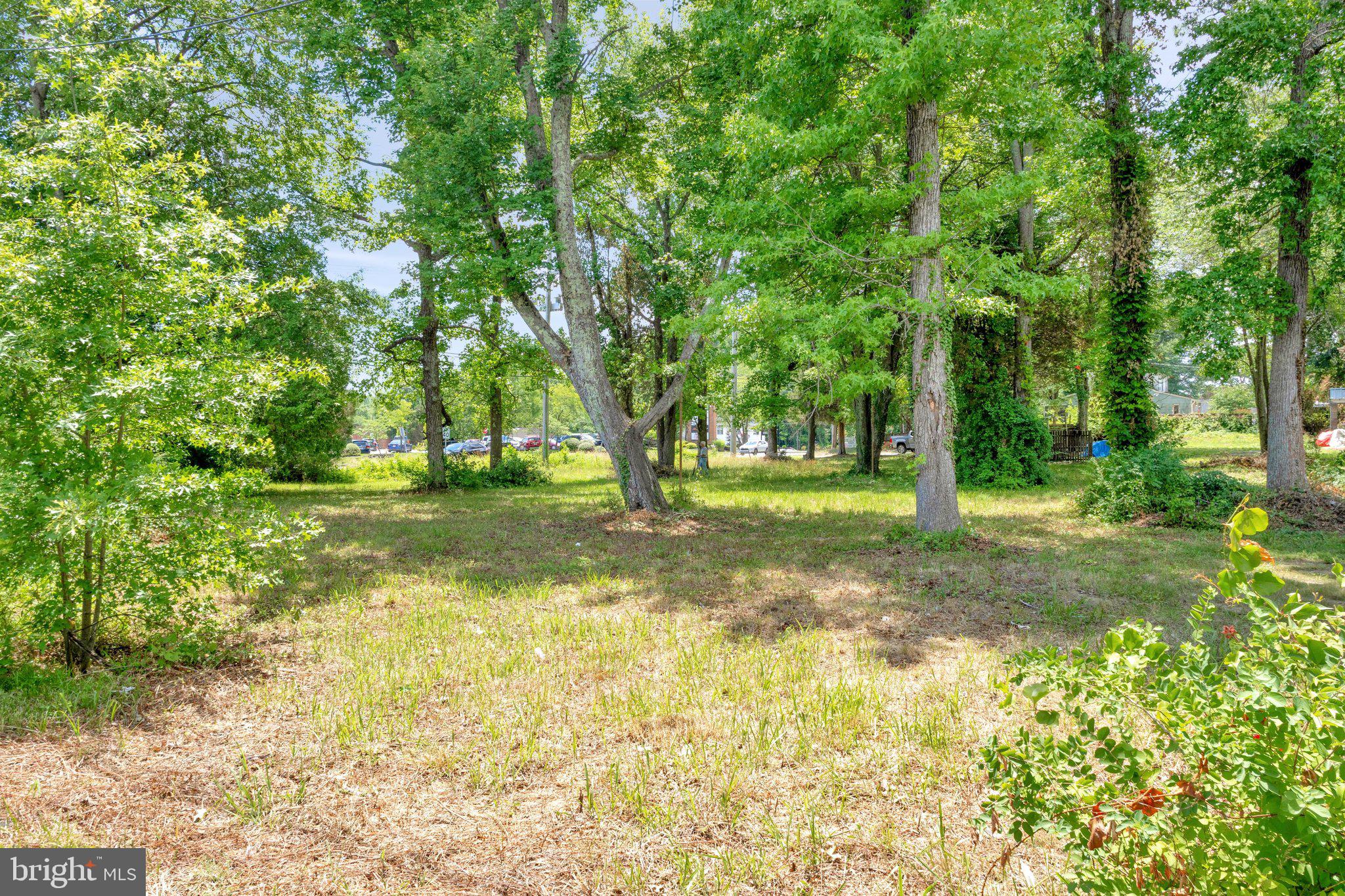 3424-3422 Pike Ridge Road Edgewater, MD 21037 - Photo 7 of 17 a view of a yard with a tree