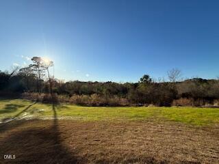 95 Stout Landing Dunn, NC 28334 - Photo 15 of 38 15