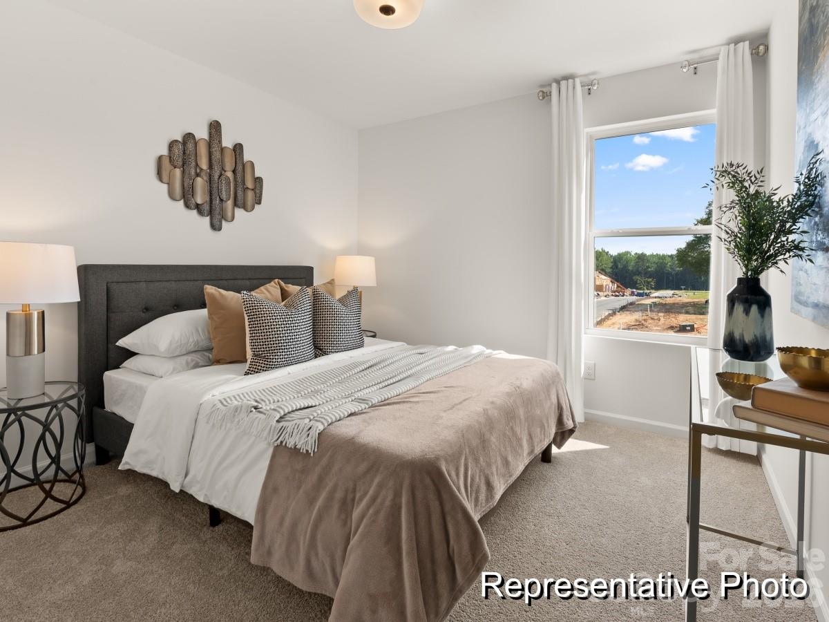 321 Drawbar Drive, Unit 96 Clover, SC 29710 - Photo 15 of 17