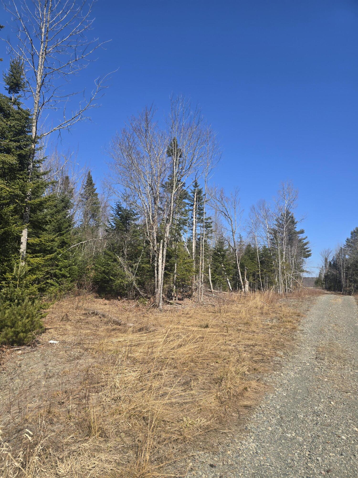 0 Chadbourne Road Harmony, ME 04942 - Photo 9 of 22 20260408_135801