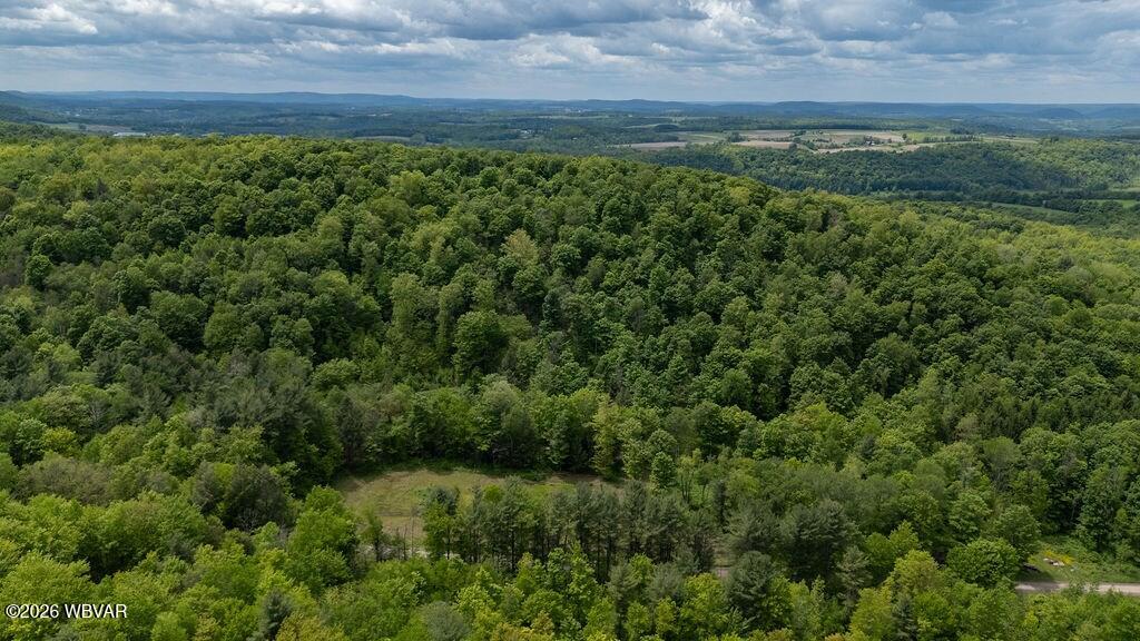 511 Steam Mill Road Wellsboro, PA 16901 - Photo 36 of 50 Gallery Image 36