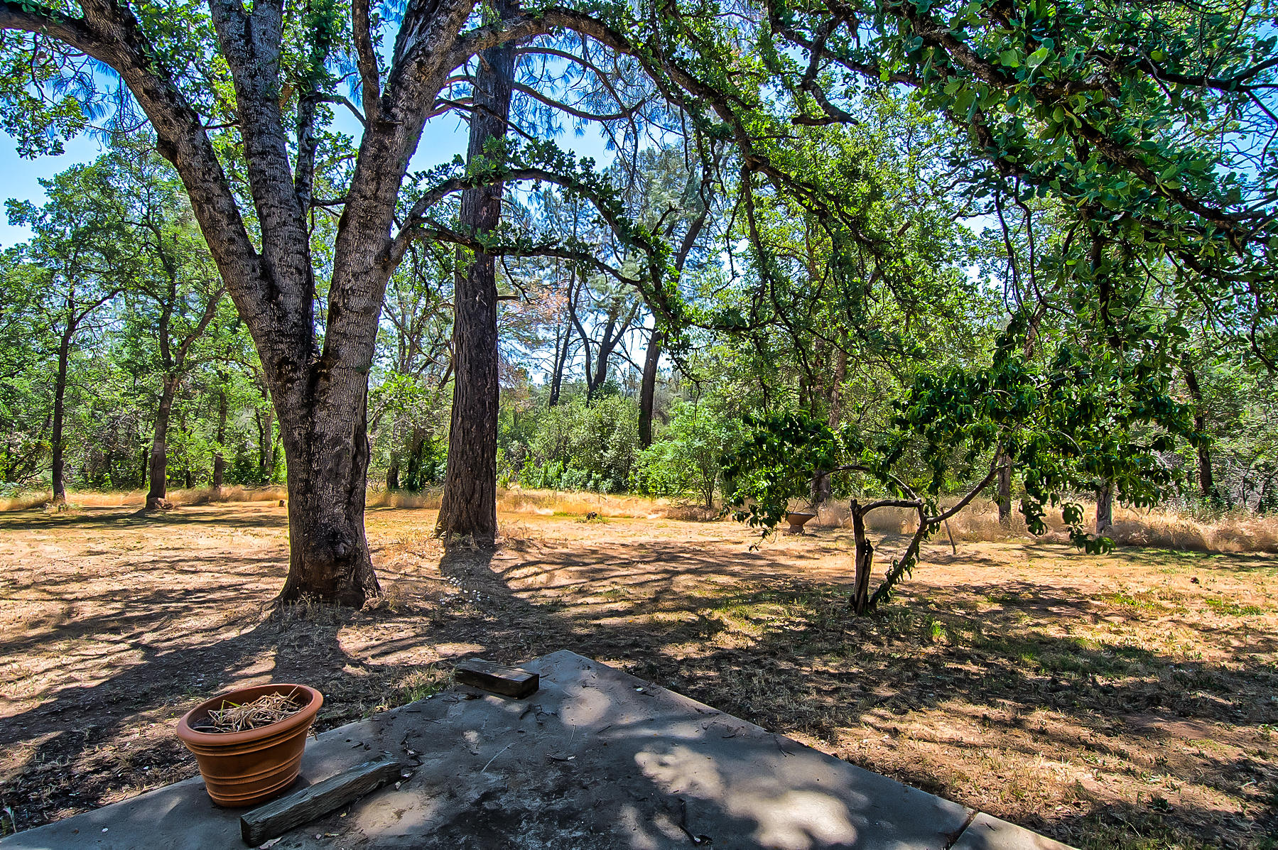 8203 Gold Run Road Redding, CA 96001 - Photo 38 of 40 gold run (104 of 12)
