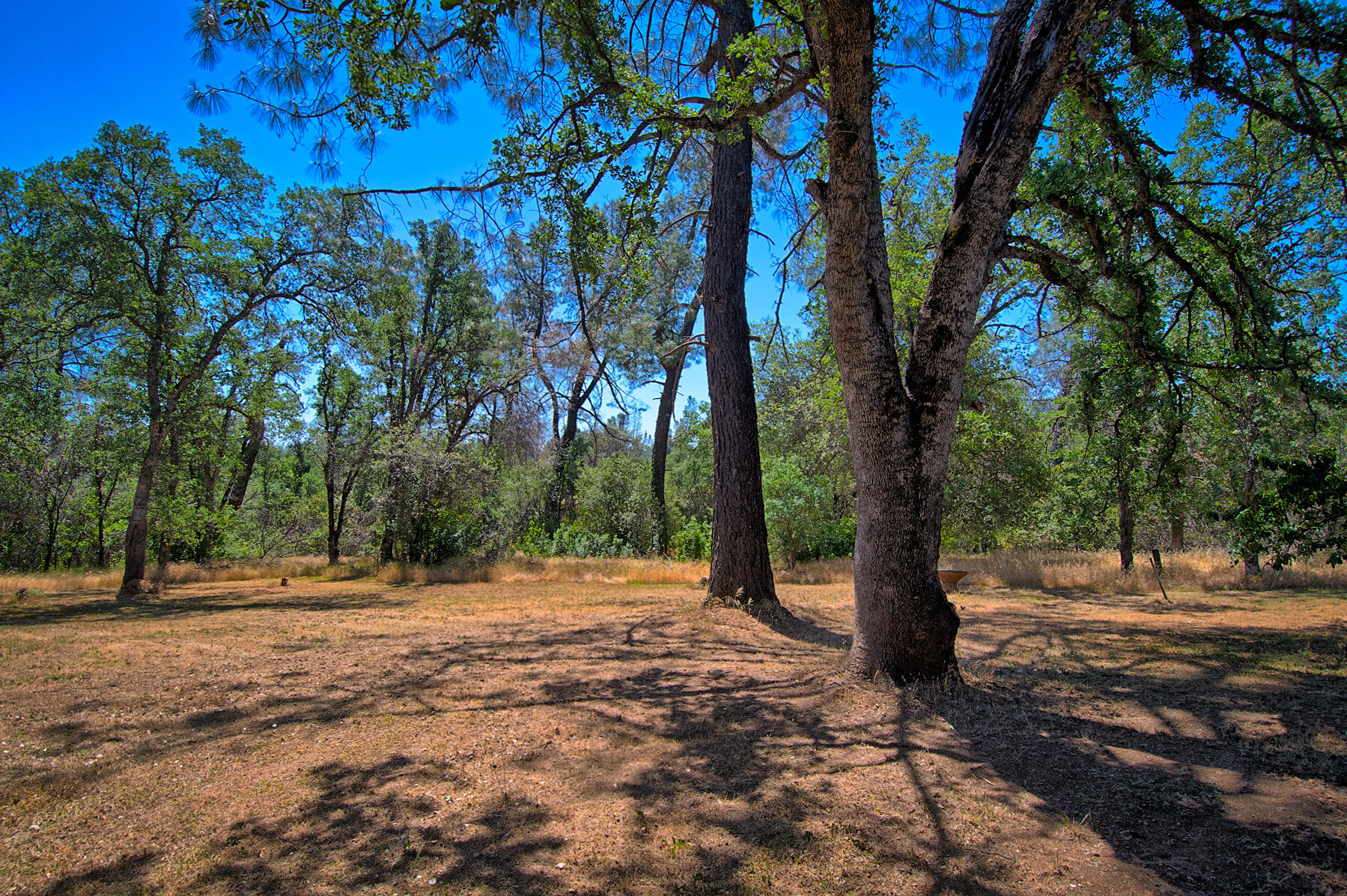 8203 Gold Run Road Redding, CA 96001 - Photo 39 of 40 gold run (101 of 12)