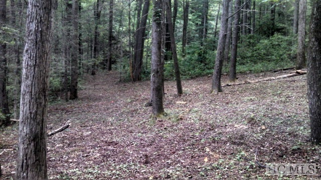 A1 Spring Valley Road Highlands, NC 28741 - Photo 3 of 4 Gallery Image 3