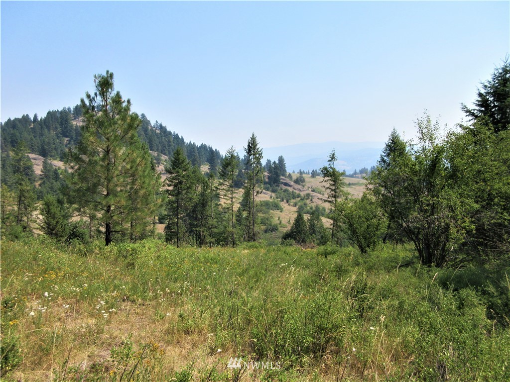 0 Coyote Ridge Road Malo, WA 99150 - Photo 1 of 27 Gallery Image 1