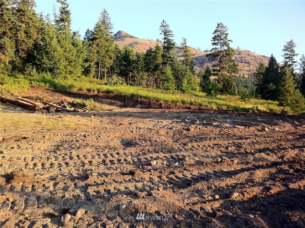 0 Coyote Ridge Road Malo, WA 99150 - Photo 2 of 27 Gallery Image 2
