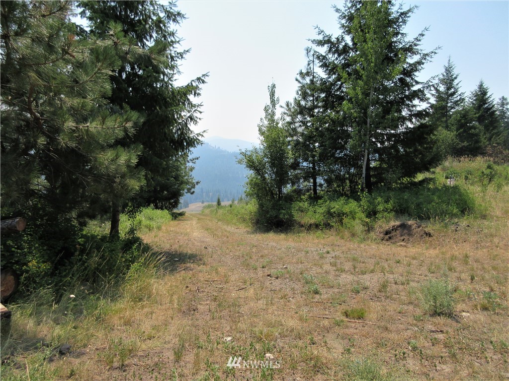 0 Coyote Ridge Road Malo, WA 99150 - Photo 11 of 27 Gallery Image 11