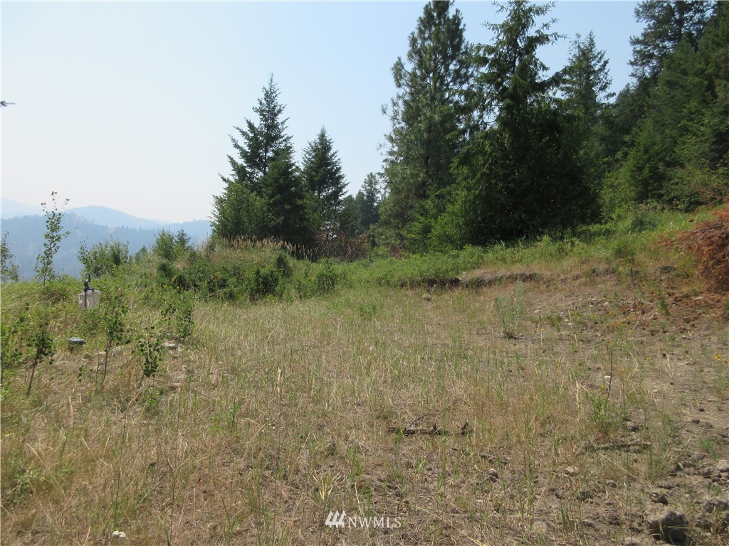 0 Coyote Ridge Road Malo, WA 99150 - Photo 12 of 27 Gallery Image 12