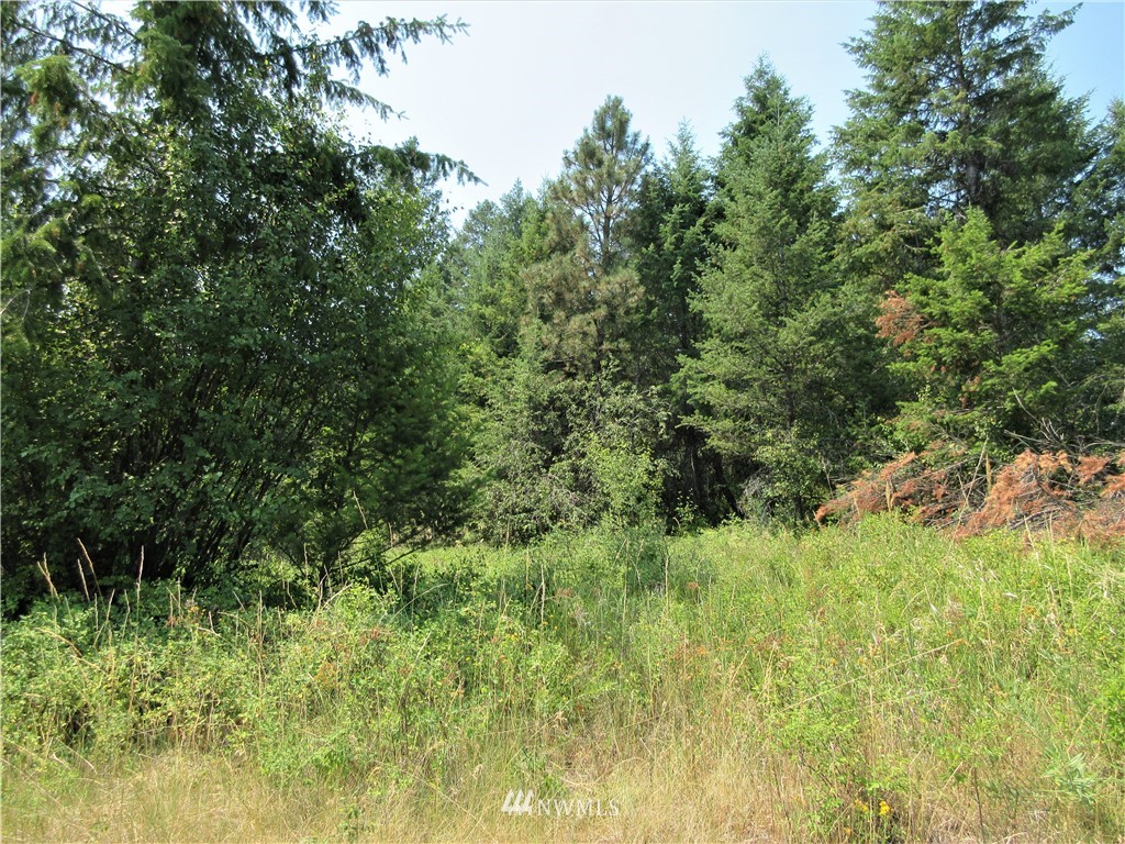 0 Coyote Ridge Road Malo, WA 99150 - Photo 14 of 27 Gallery Image 14
