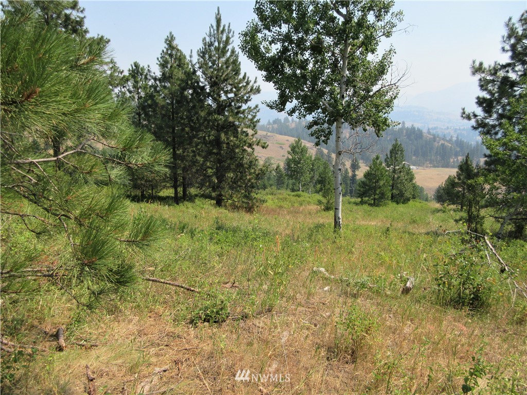 0 Coyote Ridge Road Malo, WA 99150 - Photo 15 of 27 Gallery Image 15