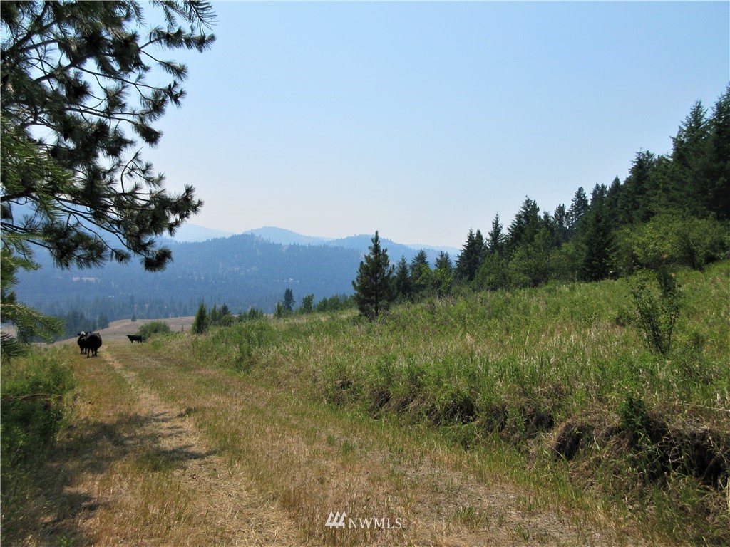 0 Coyote Ridge Road Malo, WA 99150 - Photo 16 of 27 Gallery Image 16