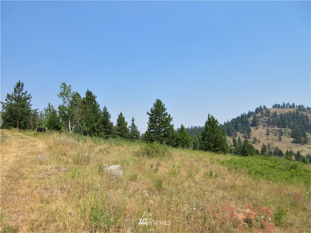 0 Coyote Ridge Road Malo, WA 99150 - Photo 17 of 27 Gallery Image 17
