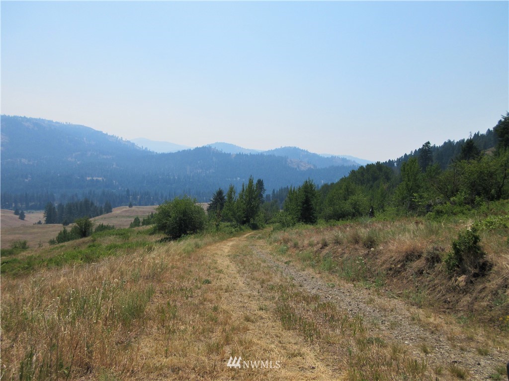 0 Coyote Ridge Road Malo, WA 99150 - Photo 18 of 27 Gallery Image 18