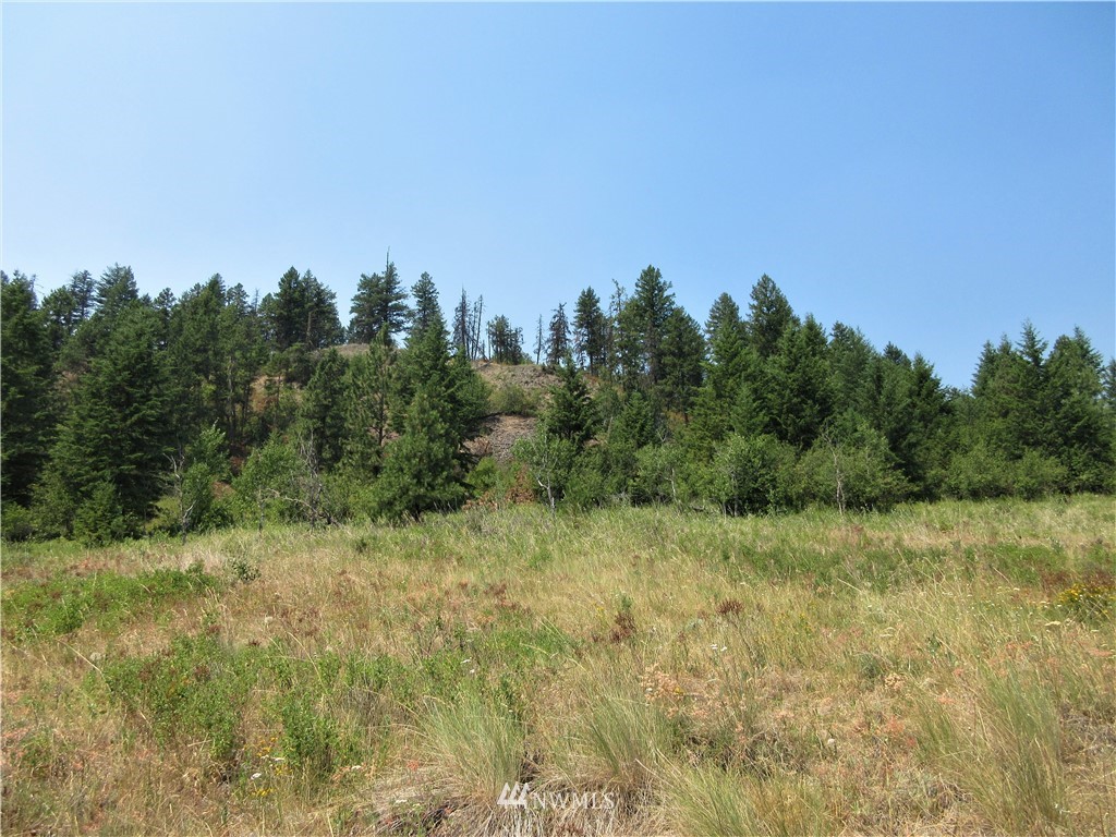 0 Coyote Ridge Road Malo, WA 99150 - Photo 19 of 27 Gallery Image 19