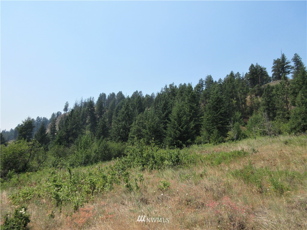 0 Coyote Ridge Road Malo, WA 99150 - Photo 3 of 27 Gallery Image 3