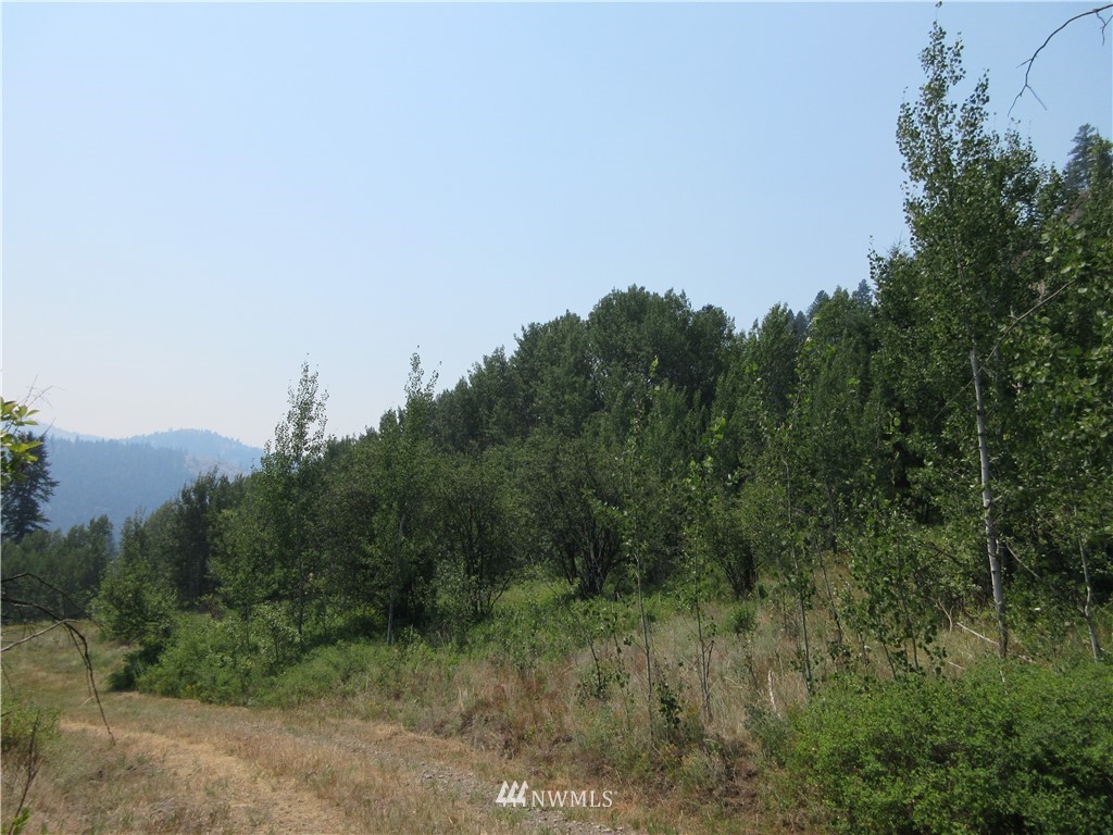 0 Coyote Ridge Road Malo, WA 99150 - Photo 21 of 27 Gallery Image 21