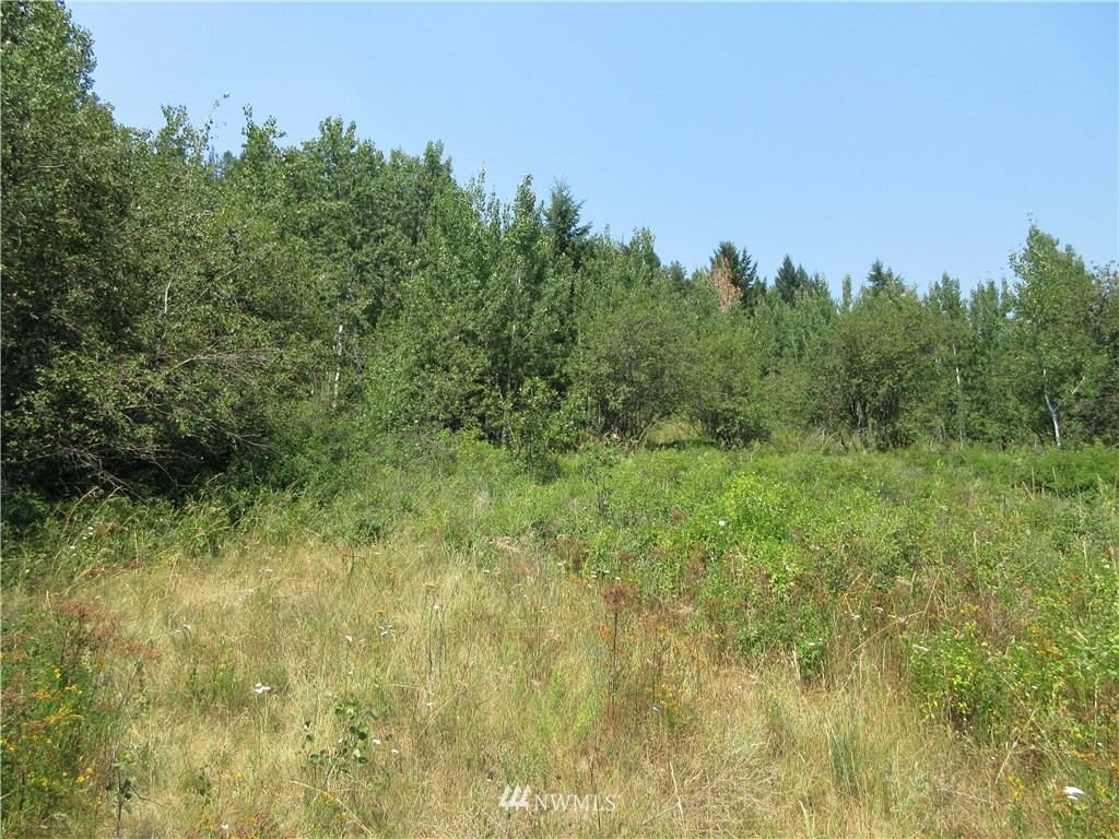 0 Coyote Ridge Road Malo, WA 99150 - Photo 22 of 27 Gallery Image 22