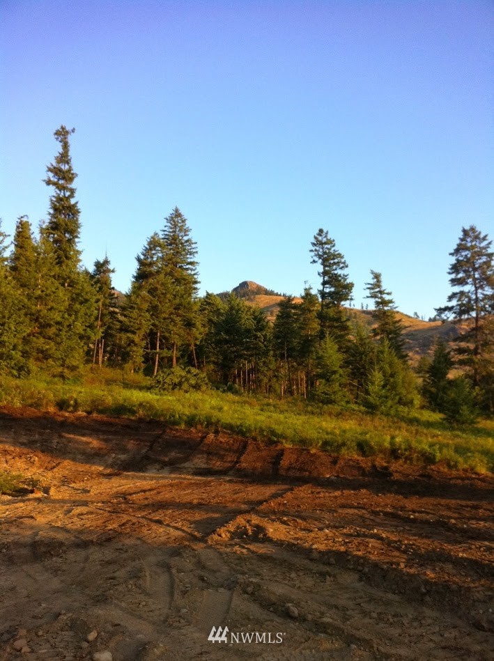 0 Coyote Ridge Road Malo, WA 99150 - Photo 23 of 27 Gallery Image 23