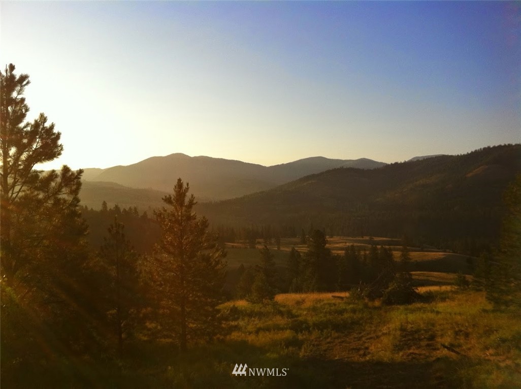0 Coyote Ridge Road Malo, WA 99150 - Photo 24 of 27 Gallery Image 24