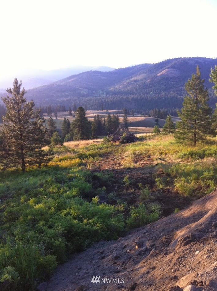 0 Coyote Ridge Road Malo, WA 99150 - Photo 25 of 27 Gallery Image 25