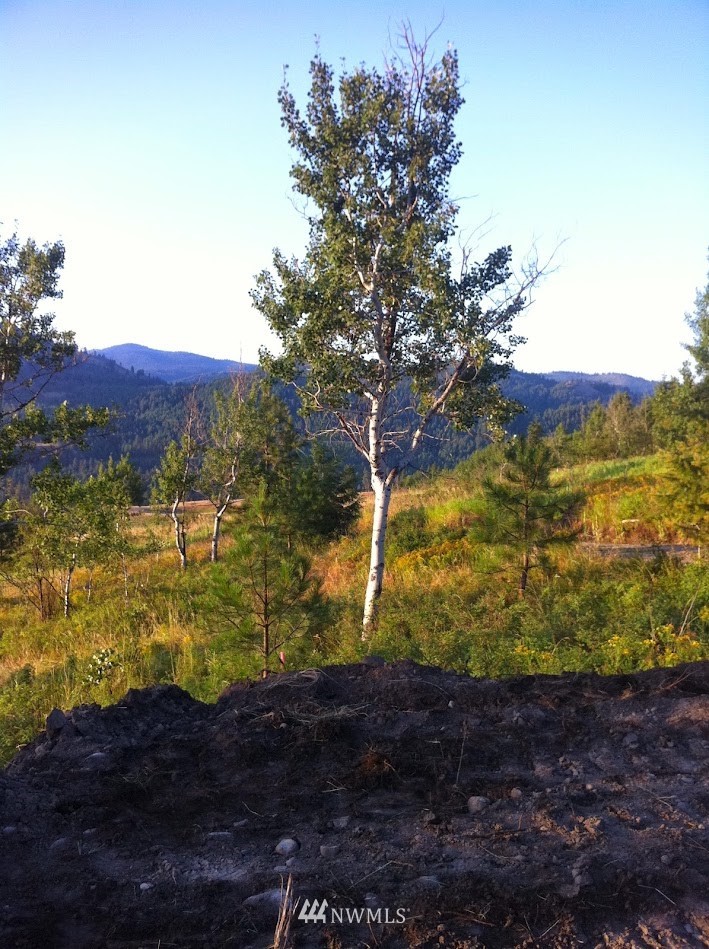 0 Coyote Ridge Road Malo, WA 99150 - Photo 26 of 27 Gallery Image 26