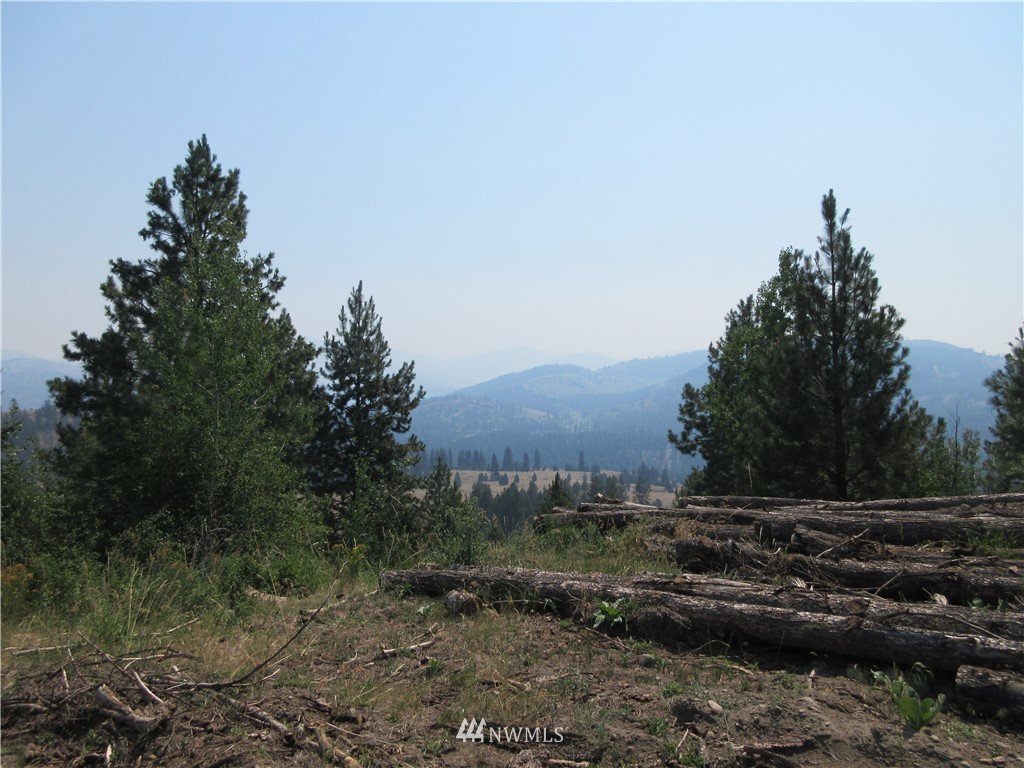 0 Coyote Ridge Road Malo, WA 99150 - Photo 27 of 27 Gallery Image 27