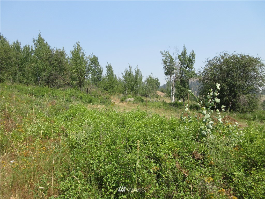 0 Coyote Ridge Road Malo, WA 99150 - Photo 4 of 27 Gallery Image 4
