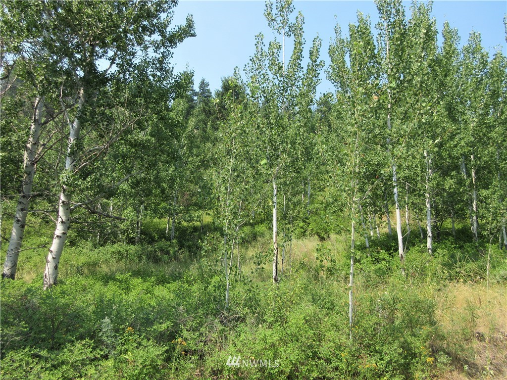 0 Coyote Ridge Road Malo, WA 99150 - Photo 5 of 27 Gallery Image 5