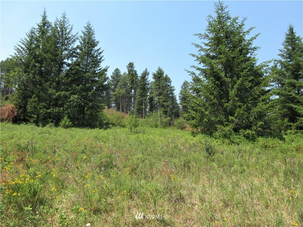0 Coyote Ridge Road Malo, WA 99150 - Photo 8 of 27 Gallery Image 8