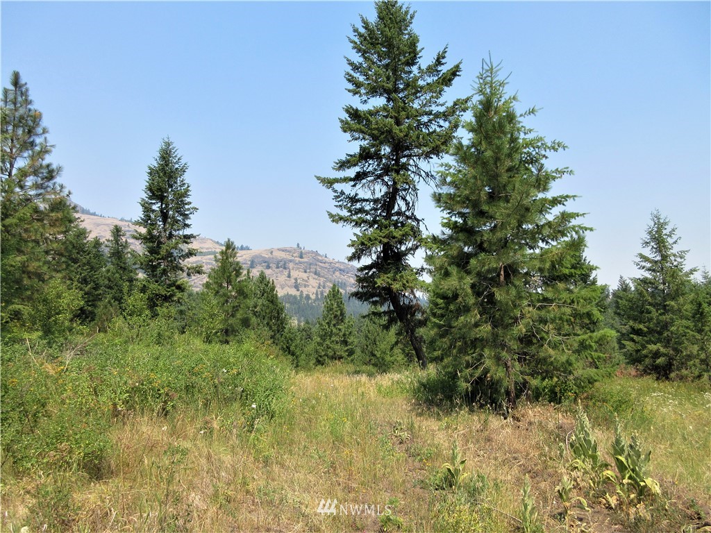 0 Coyote Ridge Road Malo, WA 99150 - Photo 10 of 27 Gallery Image 10