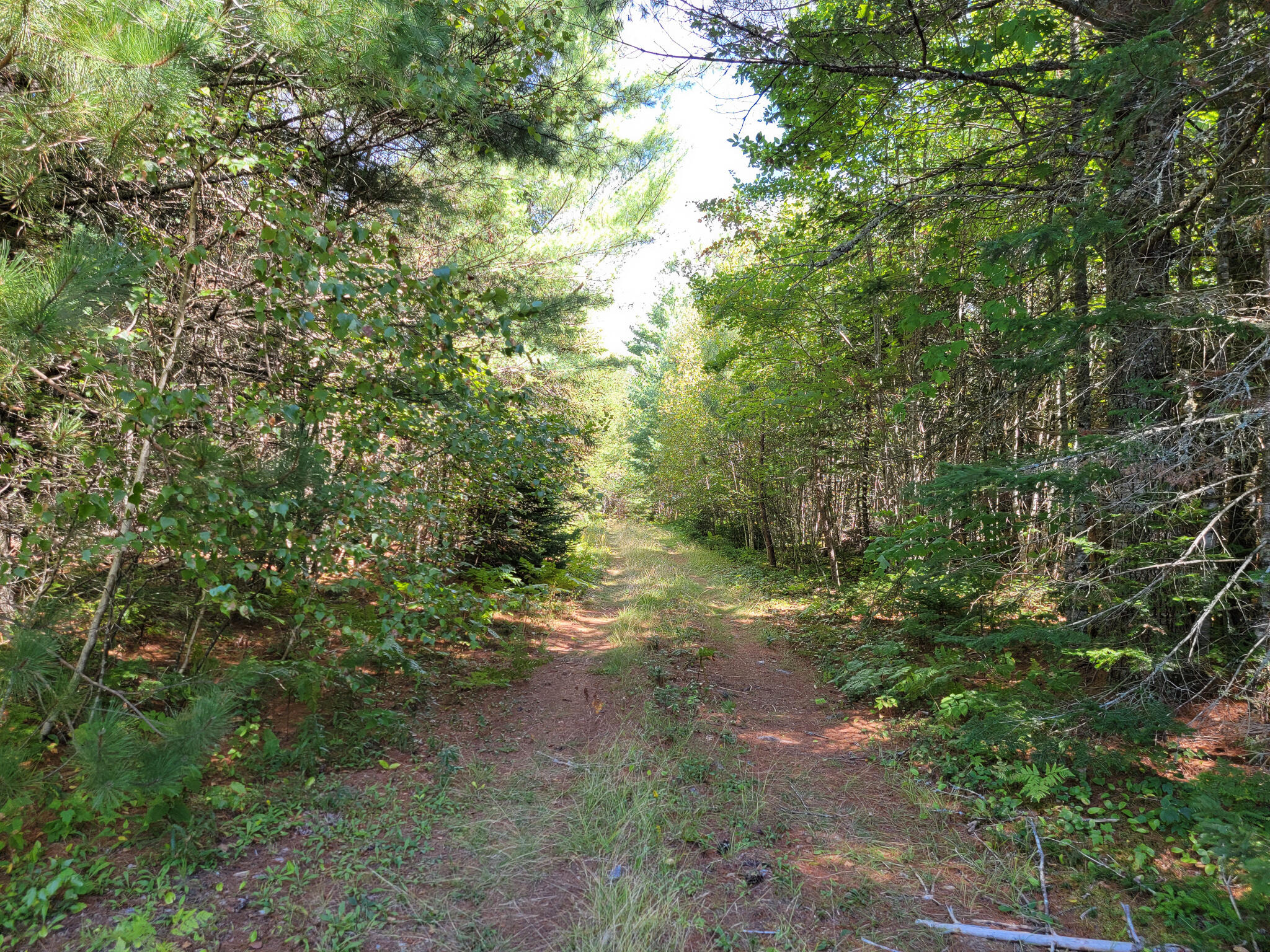 0 Crocker Turn Road Greenbush, ME 04418 - Photo 6 of 8 20220903_132258
