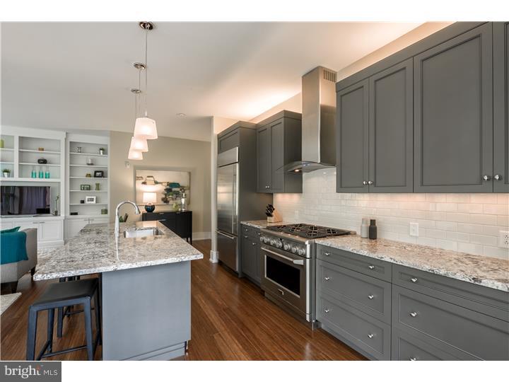 122 Iron Works Way Wayne, PA 19087 - Photo 8 of 24 Kitchen