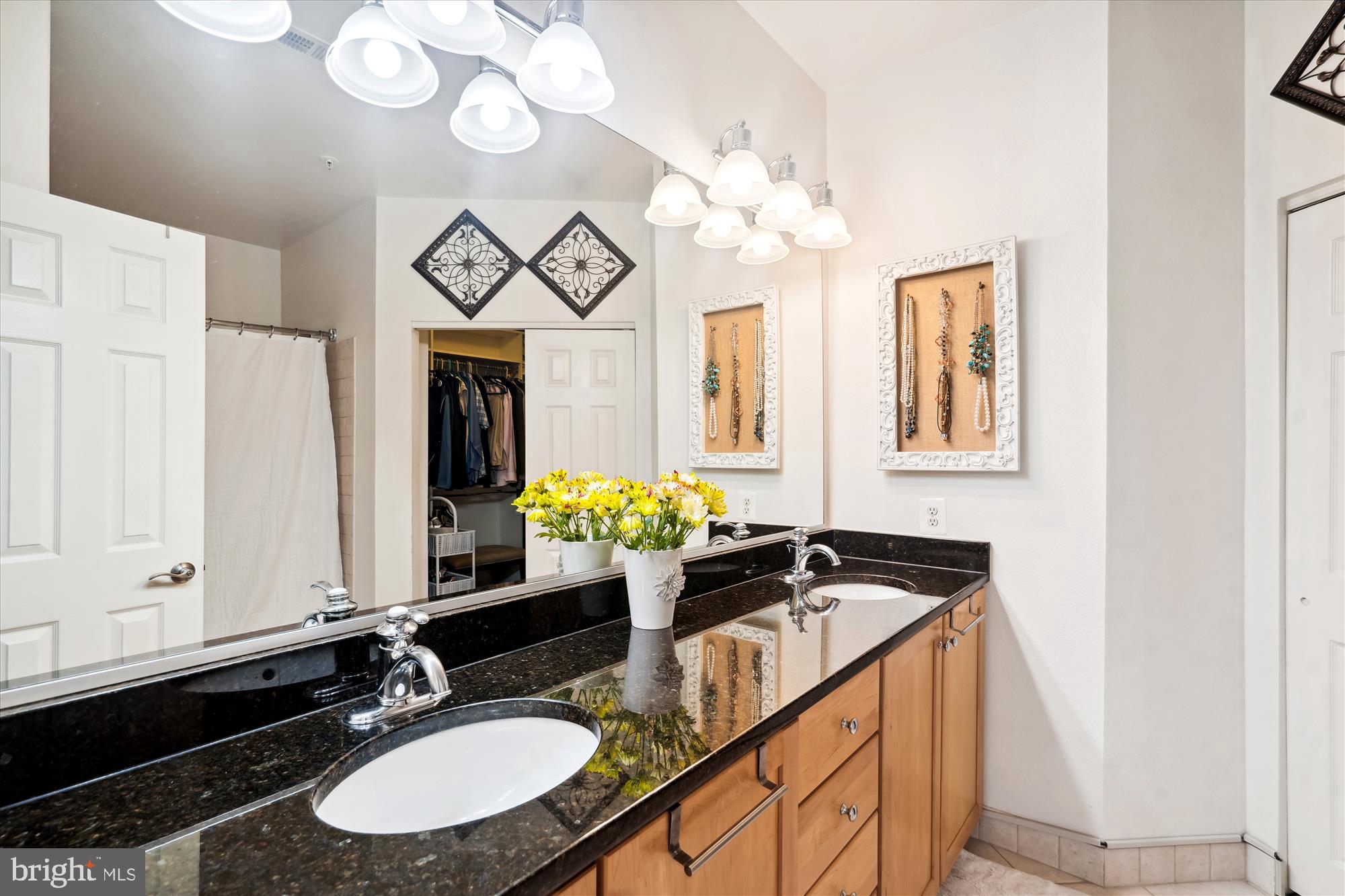 11800 Old Georgetown Road, Unit 1217 North Bethesda, MD 20852 - Photo 16 of 45 Primary Bath