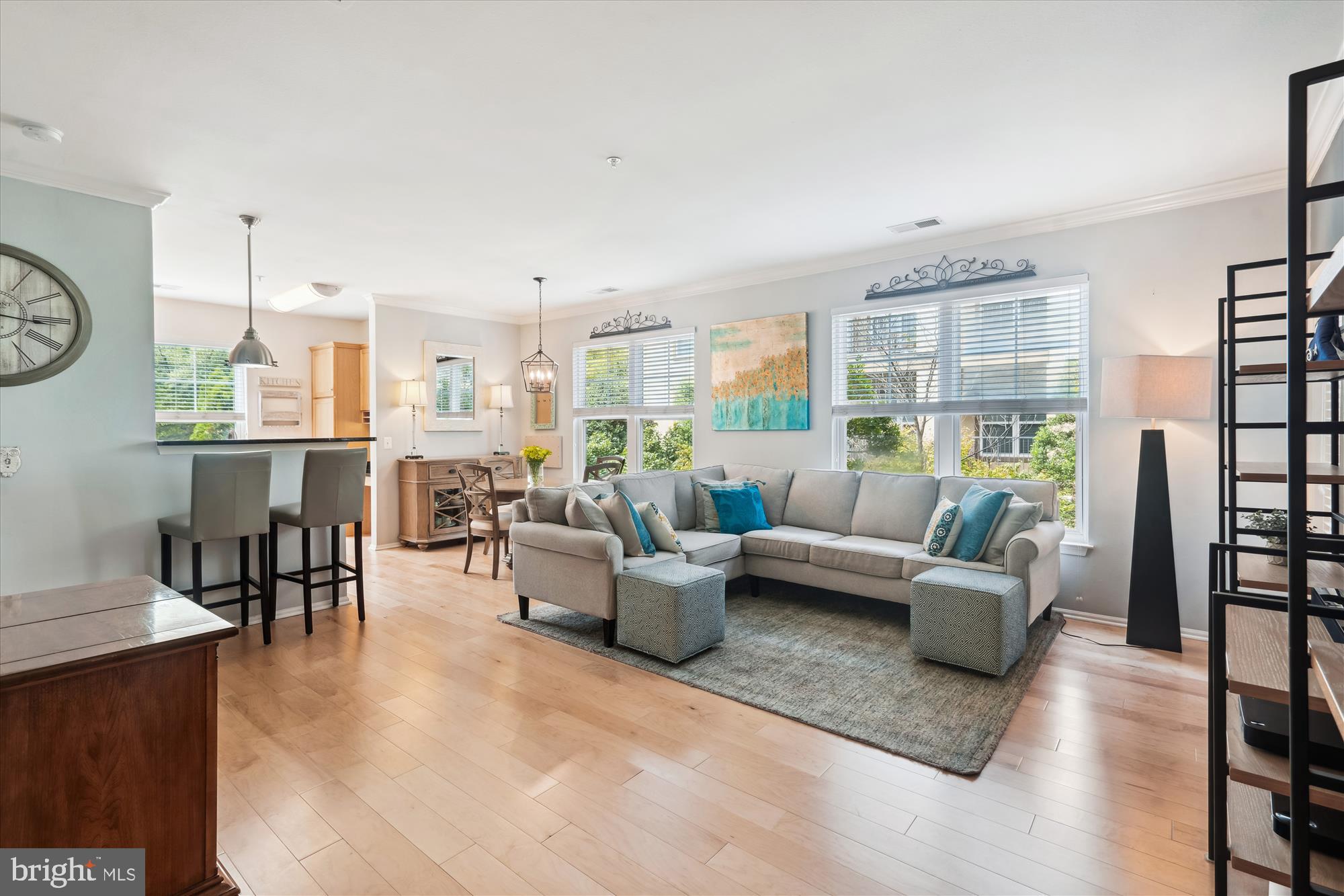11800 Old Georgetown Road, Unit 1217 North Bethesda, MD 20852 - Photo 2 of 45 Family Room view from foyer