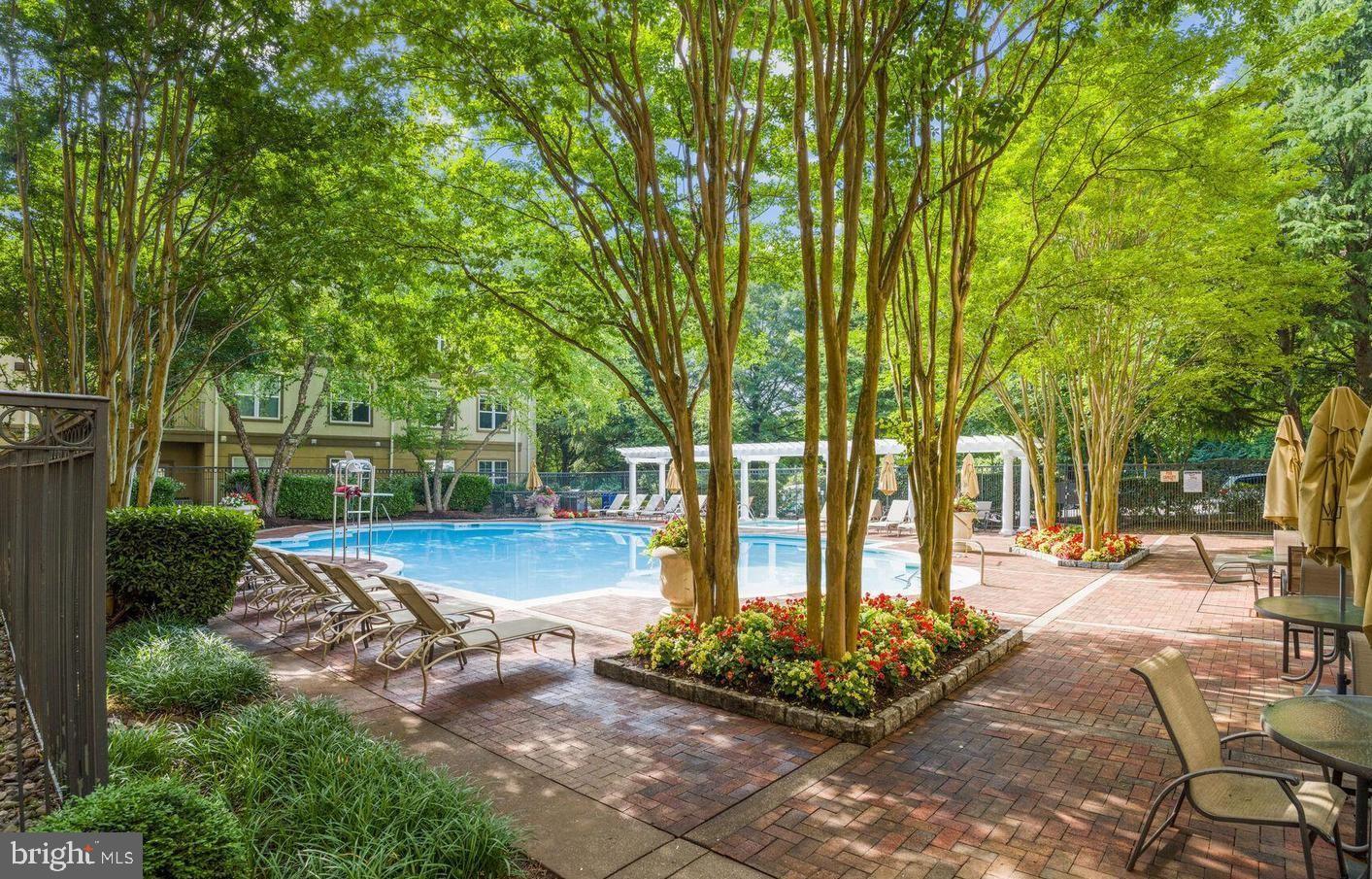 11800 Old Georgetown Road, Unit 1217 North Bethesda, MD 20852 - Photo 37 of 45 Pool!!