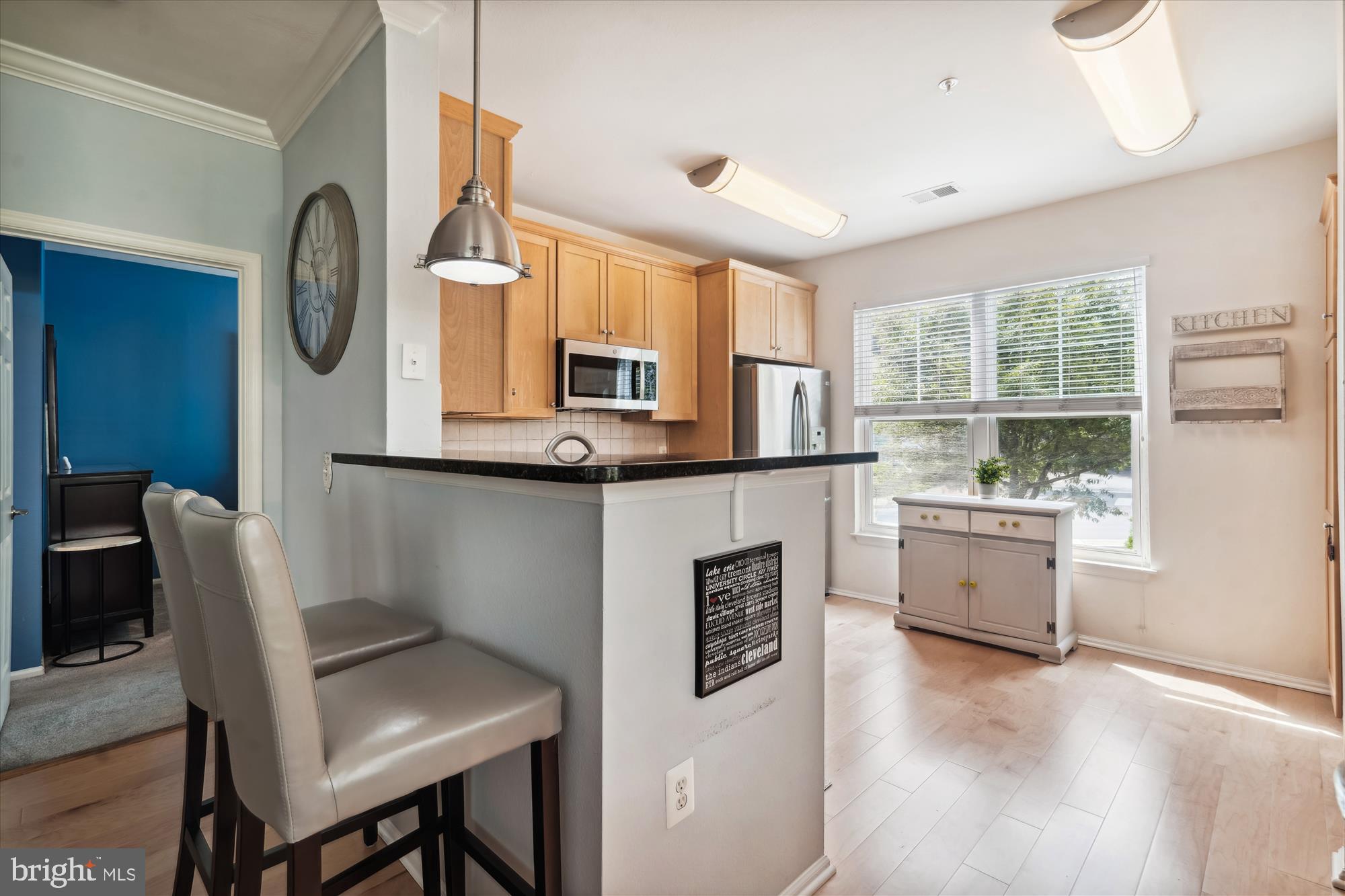 11800 Old Georgetown Road, Unit 1217 North Bethesda, MD 20852 - Photo 9 of 45 Kitchen Bar