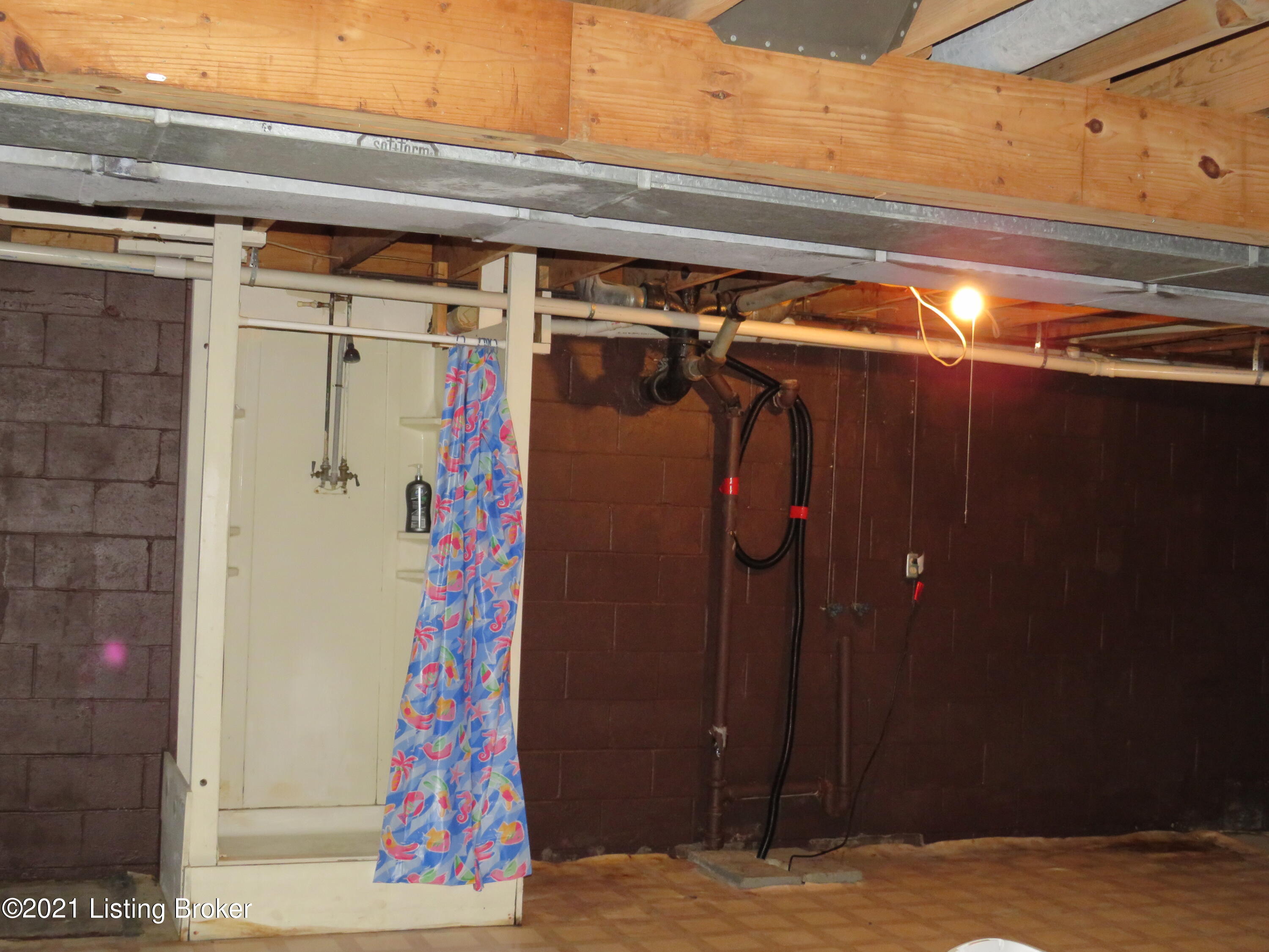 12588 Mt Eden Road Mount Eden, KY 40046 - Photo 54 of 56 Shower in basement