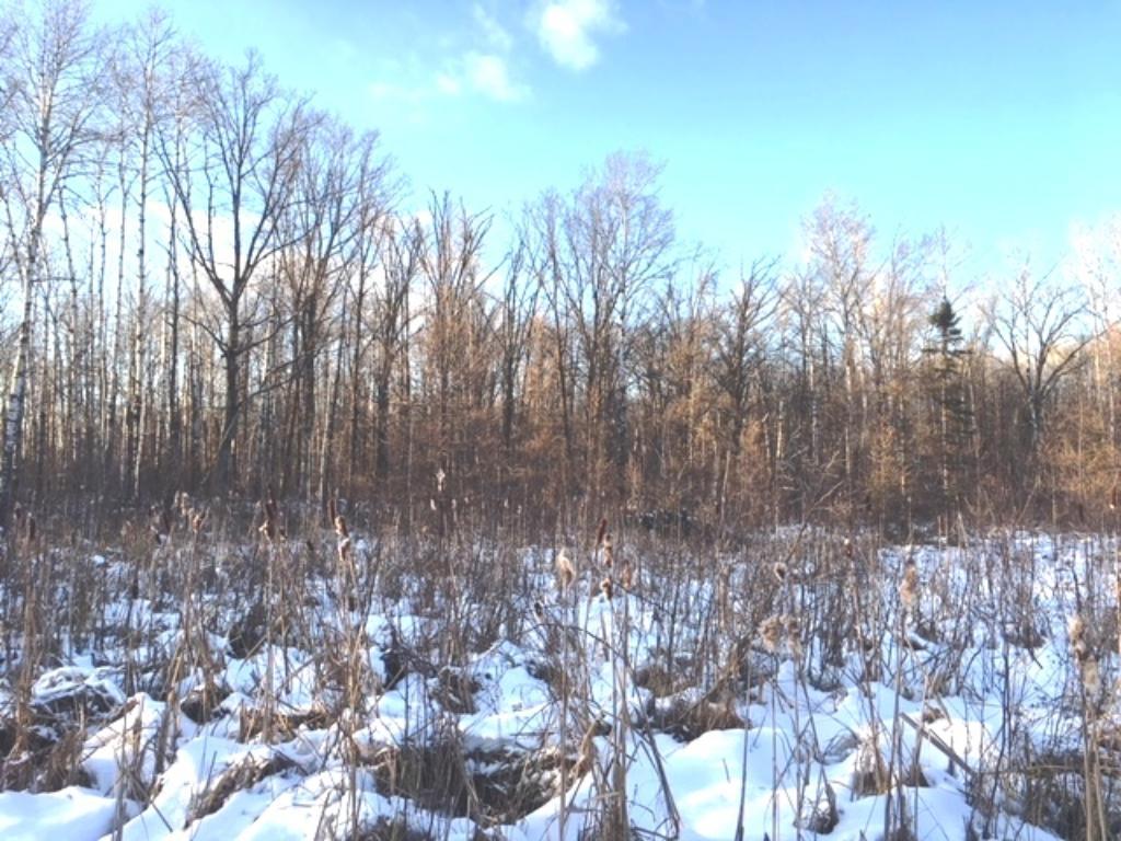 Wxyz Waletzko Road Willow River, MN 55795 - Photo 1 of 1 Gallery Image 1