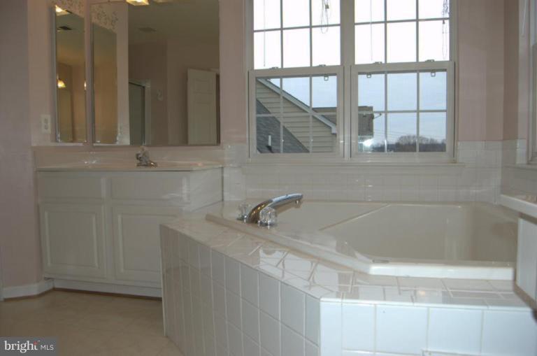 43099 Lake Ridge Place Leesburg, VA 20176 - Photo 14 of 21 Master Bath