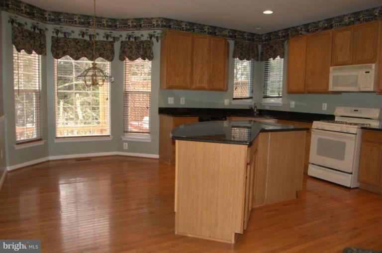 43099 Lake Ridge Place Leesburg, VA 20176 - Photo 8 of 21 Kitchen #2