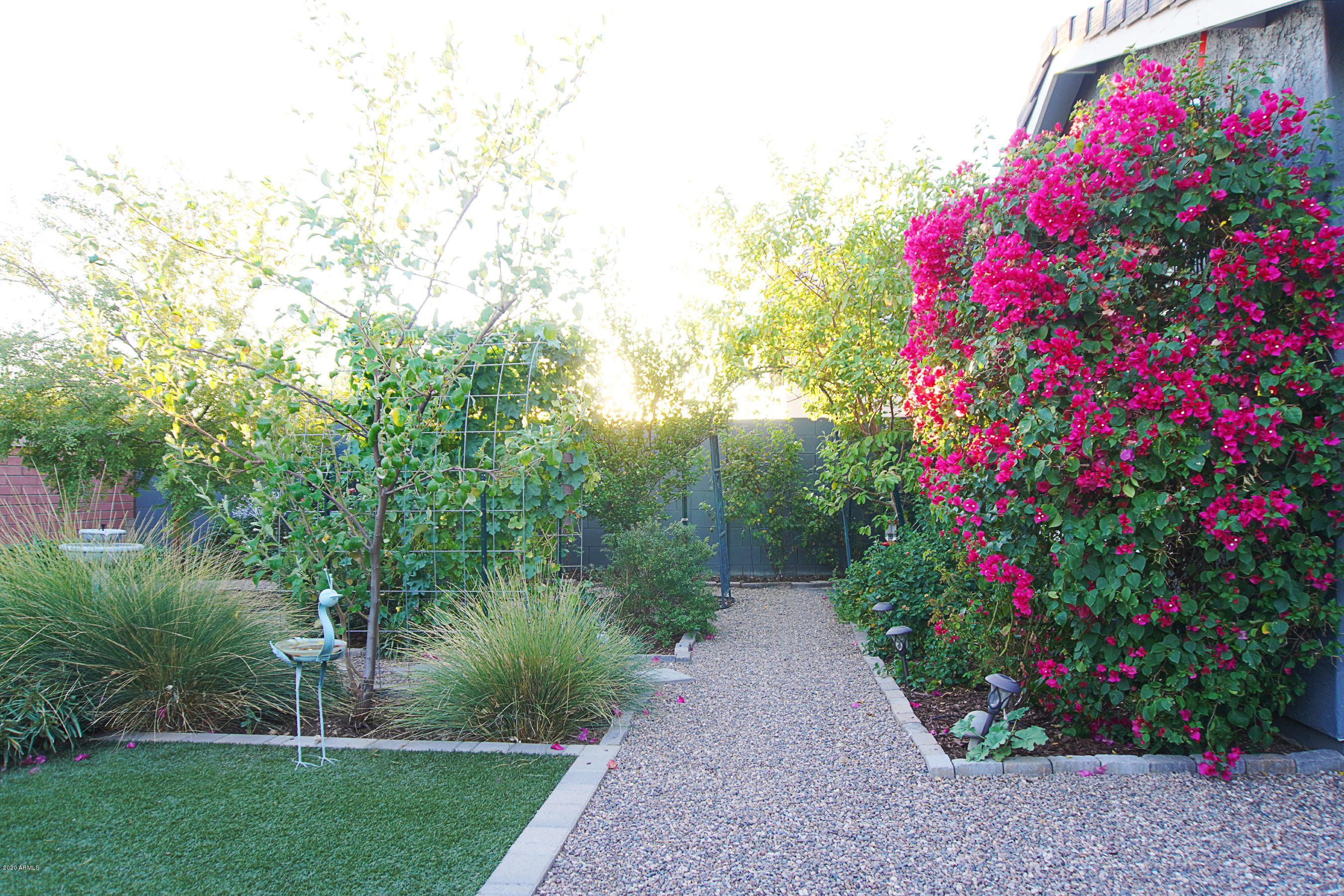 14329 West Wethersfield Road Surprise, AZ 85379 - Photo 50 of 65 Paulana_8