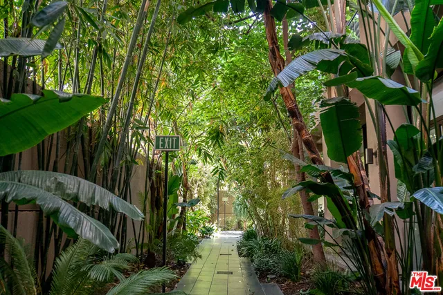 a view of a patio with couches and potted plants