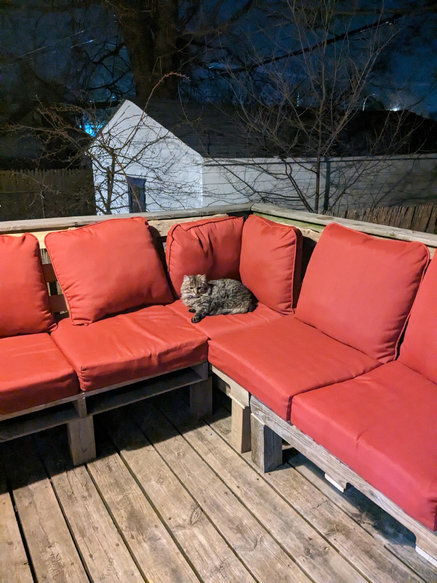 4635 Elizabeth Street Wayne, MI 48184 - Photo 32 of 37 Deck I